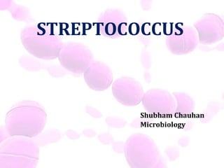 STREPTOCOCCUS
Shubham Chauhan
Microbiology
 