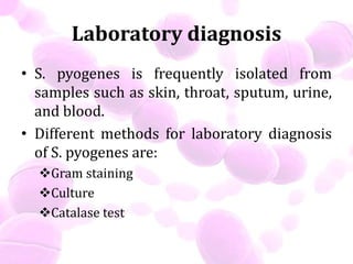 Laboratory diagnosis
• S. pyogenes is frequently isolated from
samples such as skin, throat, sputum, urine,
and blood.
• Different methods for laboratory diagnosis
of S. pyogenes are:
Gram staining
Culture
Catalase test
 