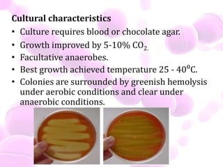 Cultural characteristics
• Culture requires blood or chocolate agar.
• Growth improved by 5-10% CO2.
• Facultative anaerobes.
• Best growth achieved temperature 25 - 40⁰C.
• Colonies are surrounded by greenish hemolysis
under aerobic conditions and clear under
anaerobic conditions.
 