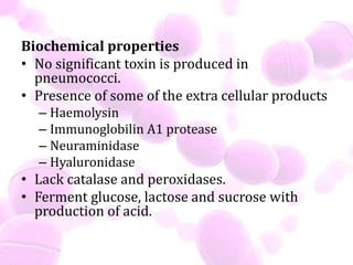 Biochemical properties
• No significant toxin is produced in
pneumococci.
• Presence of some of the extra cellular products
– Haemolysin
– Immunoglobilin A1 protease
– Neuraminidase
– Hyaluronidase
• Lack catalase and peroxidases.
• Ferment glucose, lactose and sucrose with
production of acid.
 