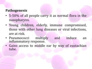 Pathogenesis
• 5-50% of all people carry it as normal flora in the
nasopharynx.
• Young children, elderly, immune compromised,
those with other lung diseases or viral infections,
are at risk.
• Pneumococci multiply and induce an
inflammatory response.
• Gains access to middle ear by way of eustachian
tube.
 