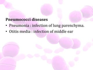 Pneumococci diseases
• Pneumonia : infection of lung parenchyma.
• Otitis media : infection of middle ear
 