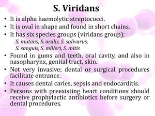 S. Viridans
• It is alpha haemolytic streptococci.
• It is oval in shape and found in short chains.
• It has six species groups (viridans group);
S. mutans, S. oralis, S. salivarus,
S. sanguis, S. milleri, S. mitis
• Found in gums and teeth, oral cavity, and also in
nasopharynx, genital tract, skin.
• Not very invasive; dental or surgical procedures
facilitate entrance.
• It causes dental caries, sepsis and endocarditis.
• Persons with preexisting heart conditions should
receive prophylactic antibiotics before surgery or
dental procedures.
 