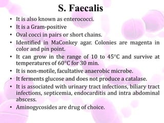 S. Faecalis
• It is also known as enterococci.
• It is a Gram-positive
• Oval cocci in pairs or short chains.
• Identified in MaConkey agar. Colonies are magenta in
color and pin point.
• It can grow in the range of 10 to 45°C and survive at
temperatures of 60°C for 30 min.
• It is non-motile, facultative anaerobic microbe.
• It ferments glucose and does not produce a catalase.
• It is associated with urinary tract infections, biliary tract
infections, septicemia, endocarditis and intra abdominal
abscess.
• Aminogycosides are drug of choice.
 