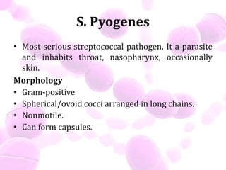 S. Pyogenes
• Most serious streptococcal pathogen. It a parasite
and inhabits throat, nasopharynx, occasionally
skin.
Morphology
• Gram-positive
• Spherical/ovoid cocci arranged in long chains.
• Nonmotile.
• Can form capsules.
 