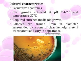 Cultural characteristics
• Facultative anaerobes.
• Best growth achieved at pH 7.4-7.6 and
temperature 37⁰C.
• Required enriched media for growth.
• Colonies are around 1mm in diameter,
surrounded by a zone of clear hemolysis, semi
transparent and vary in appearance.
 