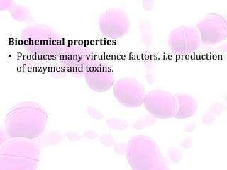 Biochemical properties
• Produces many virulence factors. i.e production
of enzymes and toxins.
 