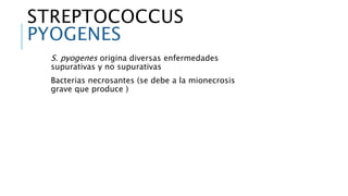 STREPTOCOCCUS
PYOGENES
S. pyogenes origina diversas enfermedades
supurativas y no supurativas
Bacterias necrosantes (se debe a la mionecrosis
grave que produce )
 