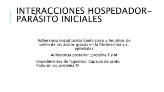 INTERACCIONES HOSPEDADOR-
PARÁSITO INICIALES
Adherencia inicial ;acido lipoteicoico y los sitios de
unión de los ácidos grasos en la fibronectina y c.
epiteliales
Adherencia posterior ;proteína F y M
Impedimentos de fagocitos: Capsula de acido
hialuronico, proteína M
 