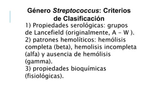 1) Propiedades serológicas: grupos
de Lancefield (originalmente, A - W ).
2) patrones hemolíticos: hemólisis
completa (beta), hemolisis incompleta
(alfa) y ausencia de hemólisis
(gamma).
3) propiedades bioquímicas
(fisiológicas).
Género Streptococcus: Criterios
de Clasificación
 