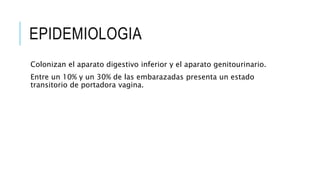 EPIDEMIOLOGIA
Colonizan el aparato digestivo inferior y el aparato genitourinario.
Entre un 10% y un 30% de las embarazadas presenta un estado
transitorio de portadora vagina.
 