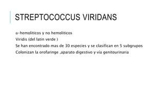 STREPTOCOCCUS VIRIDANS
α-hemoliticos y no hemoliticos
Viridis (del latin verde )
Se han encontrado mas de 30 especies y se clasifican en 5 subgrupos
Colonizan la orofaringe ,aparato digestivo y vía genitourinaria
 
