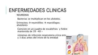 ENFERMEDADES CLINICAS
NEUMONIA
Bacterias se multiplican en los alvéolos.
Eritrocitos  neutrófilos  macrófagos
alveolares
Consiste en un cuadro de escalofrios y fiebre
mantenida de 39 -40 ◦
síntomas de infección respiratoria vírica entre 1
y 3 días antes del inicio de la entidad
 