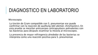 DIAGNOSTICO EN LABORATORIO
Microscopia
La tinción de Gram compatible con S. pneumoniae ese puede
confirmar con la reacción de quellung (del alemán «hinchazón»). En
esta prueba se mezclan anticuerpos anticapsulares polivalentes con
las bacterias para después examinar la mezcla al microscopio.
La presencia de mayor refringencia alrededor de las bacterias se
interpreta como una reacción positiva para S. pneumoniae
 