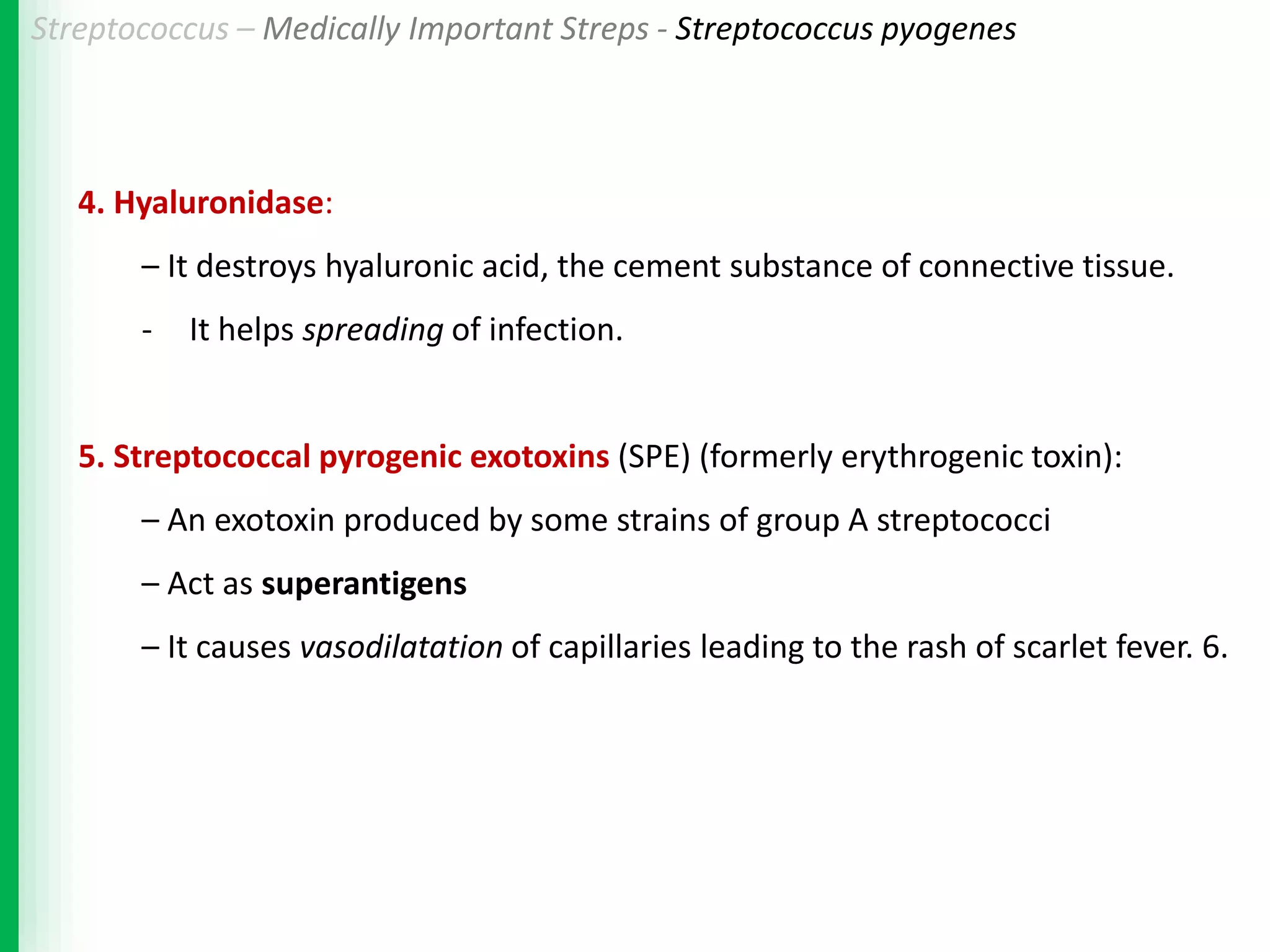 Streptococcus | PDF