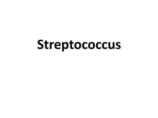 Streptococcus
 