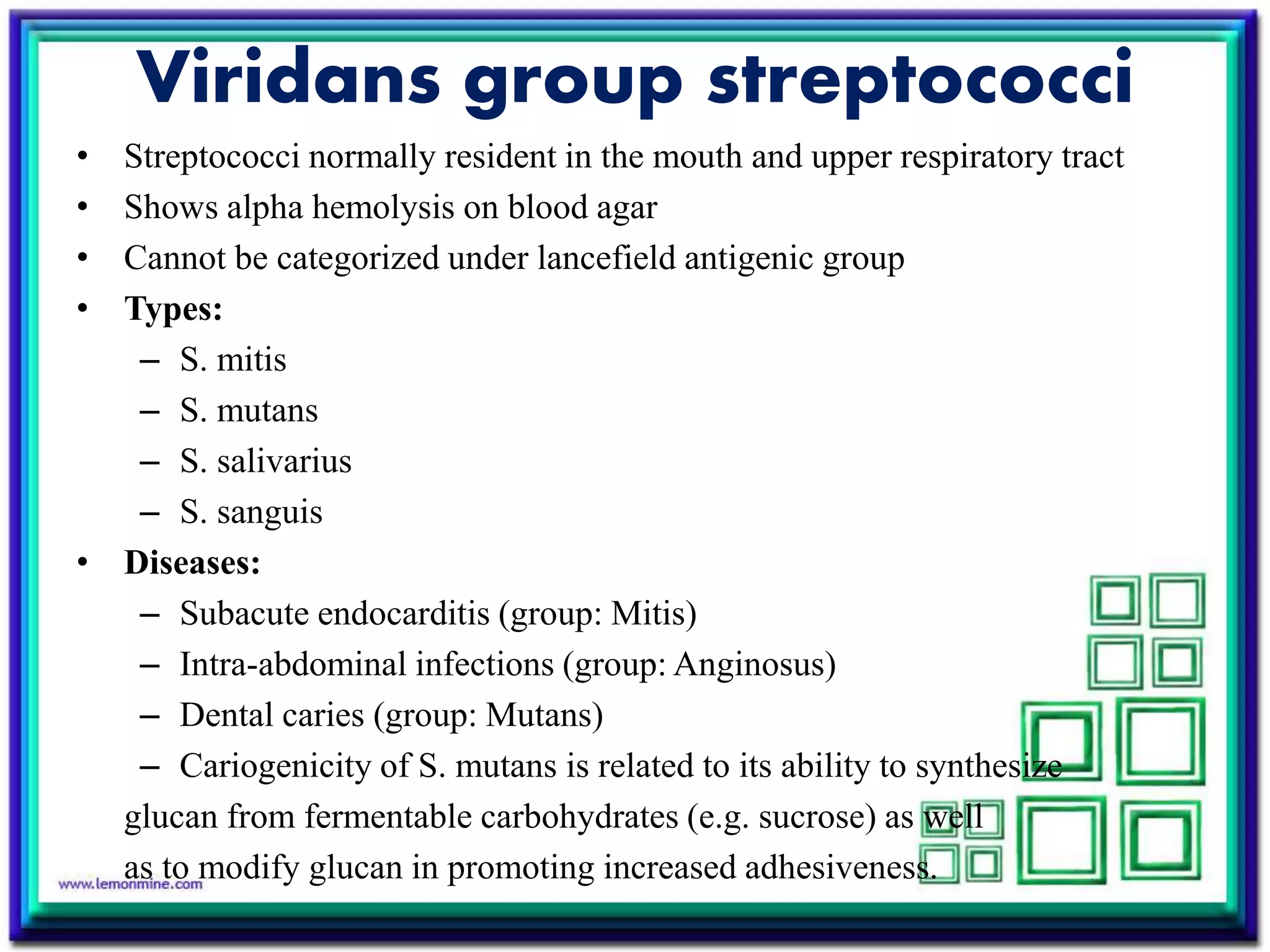 Viridans group streptococci
• Streptococci normally resident in the mouth and upper respiratory tract
• Shows alpha hemolysis on blood agar
• Cannot be categorized under lancefield antigenic group
• Types:
– S. mitis
– S. mutans
– S. salivarius
– S. sanguis
• Diseases:
– Subacute endocarditis (group: Mitis)
– Intra-abdominal infections (group: Anginosus)
– Dental caries (group: Mutans)
– Cariogenicity of S. mutans is related to its ability to synthesize
glucan from fermentable carbohydrates (e.g. sucrose) as well
as to modify glucan in promoting increased adhesiveness.
 