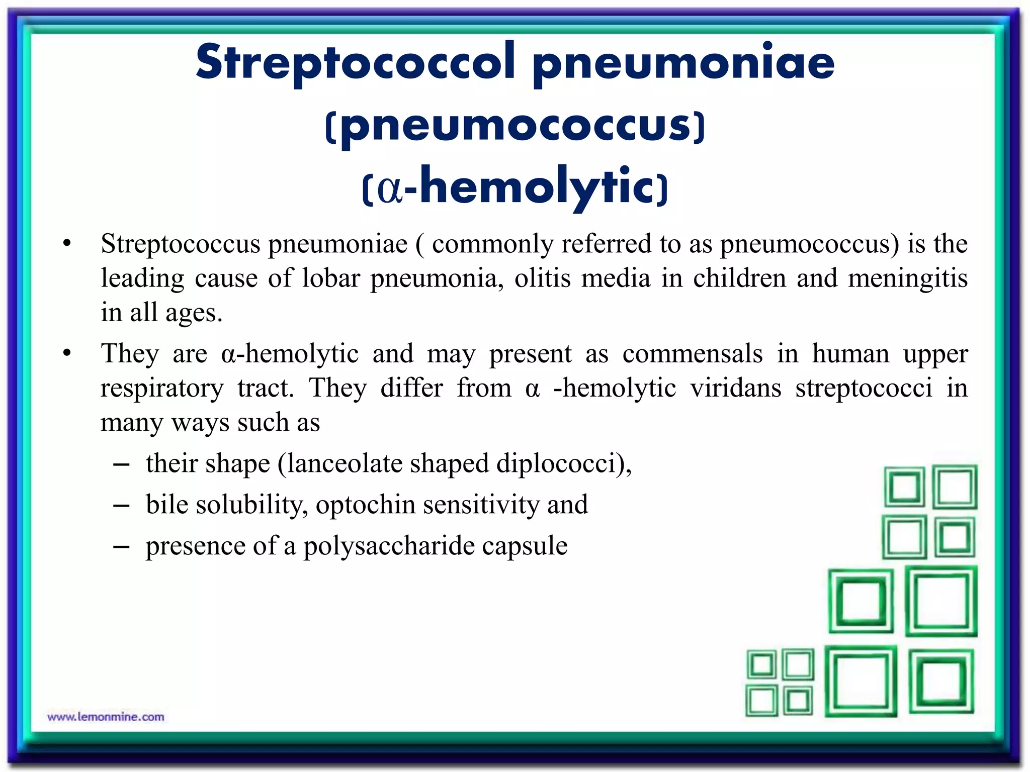 Streptococcol pneumoniae
(pneumococcus)
(α-hemolytic)
• Streptococcus pneumoniae ( commonly referred to as pneumococcus) is the
leading cause of lobar pneumonia, olitis media in children and meningitis
in all ages.
• They are α-hemolytic and may present as commensals in human upper
respiratory tract. They differ from α -hemolytic viridans streptococci in
many ways such as
– their shape (lanceolate shaped diplococci),
– bile solubility, optochin sensitivity and
– presence of a polysaccharide capsule
 
