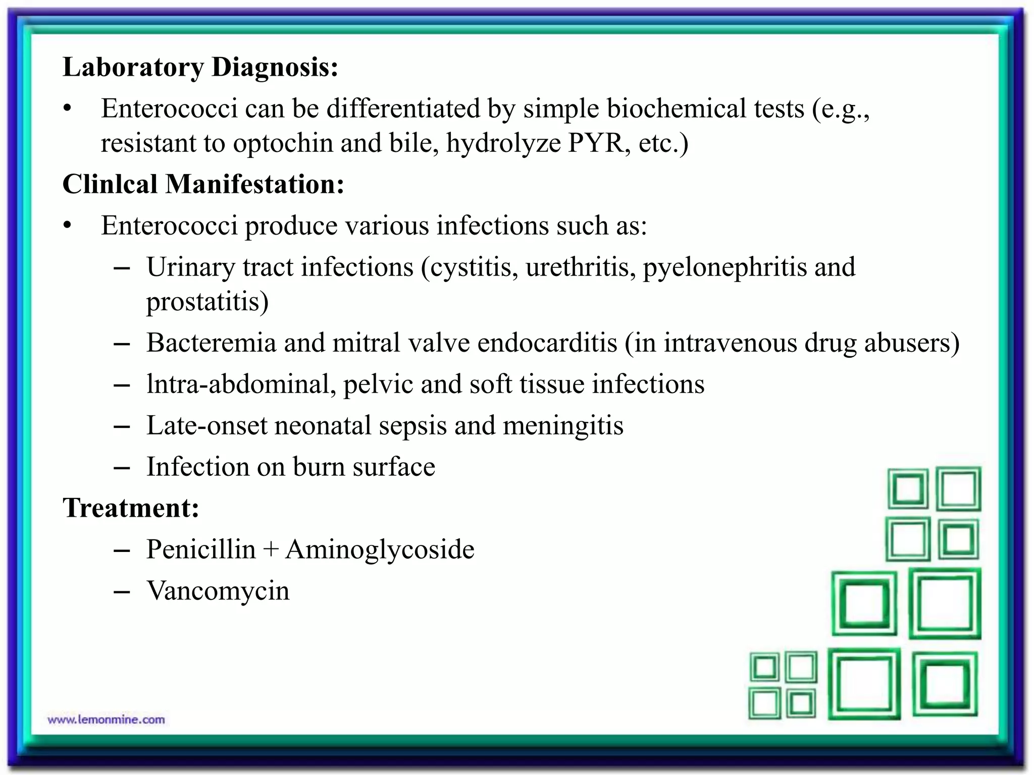 Laboratory Diagnosis:
• Enterococci can be differentiated by simple biochemical tests (e.g.,
resistant to optochin and bile, hydrolyze PYR, etc.)
Clinlcal Manifestation:
• Enterococci produce various infections such as:
– Urinary tract infections (cystitis, urethritis, pyelonephritis and
prostatitis)
– Bacteremia and mitral valve endocarditis (in intravenous drug abusers)
– lntra-abdominal, pelvic and soft tissue infections
– Late-onset neonatal sepsis and meningitis
– Infection on burn surface
Treatment:
– Penicillin + Aminoglycoside
– Vancomycin
 