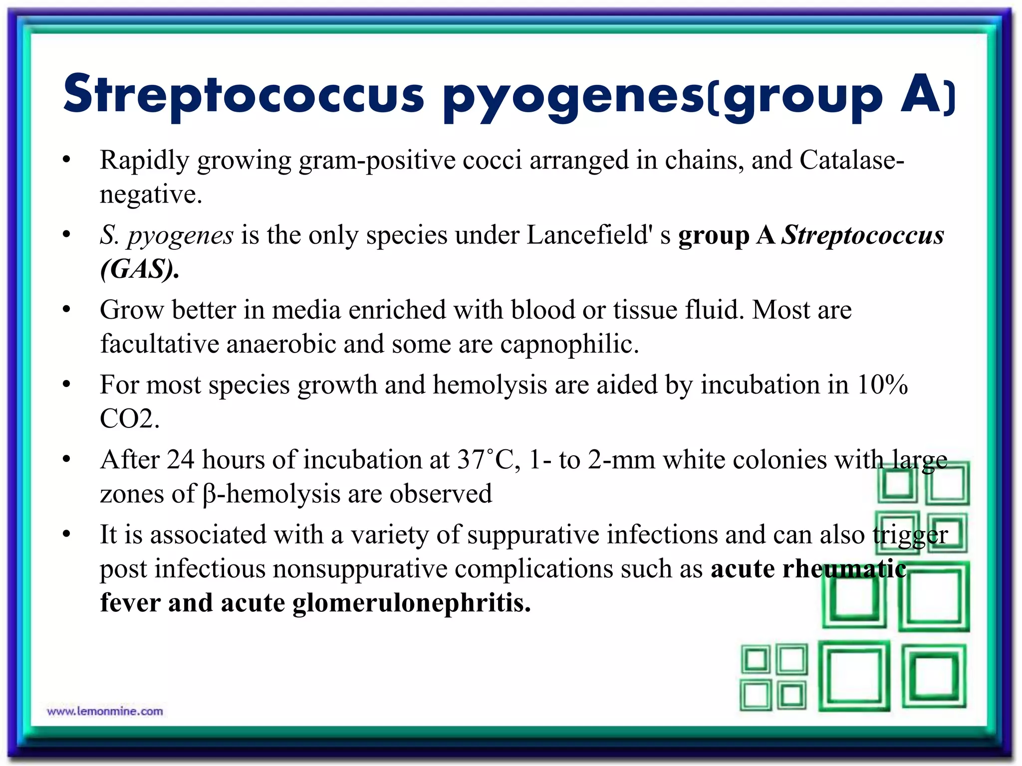 Streptococcus pyogenes(group A)
• Rapidly growing gram-positive cocci arranged in chains, and Catalase-
negative.
• S. pyogenes is the only species under Lancefield' s group A Streptococcus
(GAS).
• Grow better in media enriched with blood or tissue fluid. Most are
facultative anaerobic and some are capnophilic.
• For most species growth and hemolysis are aided by incubation in 10%
CO2.
• After 24 hours of incubation at 37˚C, 1- to 2-mm white colonies with large
zones of β-hemolysis are observed
• It is associated with a variety of suppurative infections and can also trigger
post infectious nonsuppurative complications such as acute rheumatic
fever and acute glomerulonephritis.
 