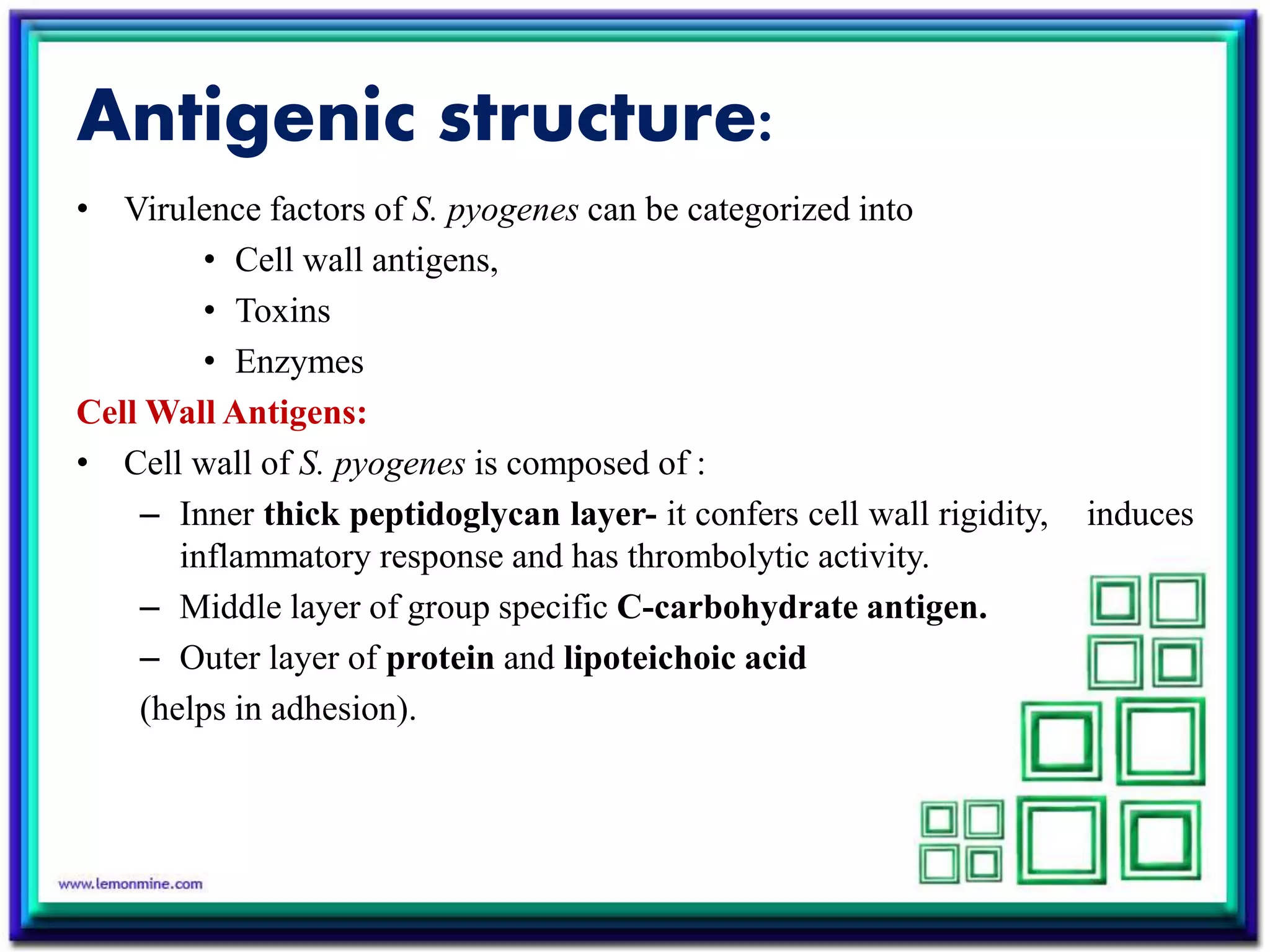 Antigenic structure:
• Virulence factors of S. pyogenes can be categorized into
• Cell wall antigens,
• Toxins
• Enzymes
Cell Wall Antigens:
• Cell wall of S. pyogenes is composed of :
– Inner thick peptidoglycan layer- it confers cell wall rigidity, induces
inflammatory response and has thrombolytic activity.
– Middle layer of group specific C-carbohydrate antigen.
– Outer layer of protein and lipoteichoic acid
(helps in adhesion).
 