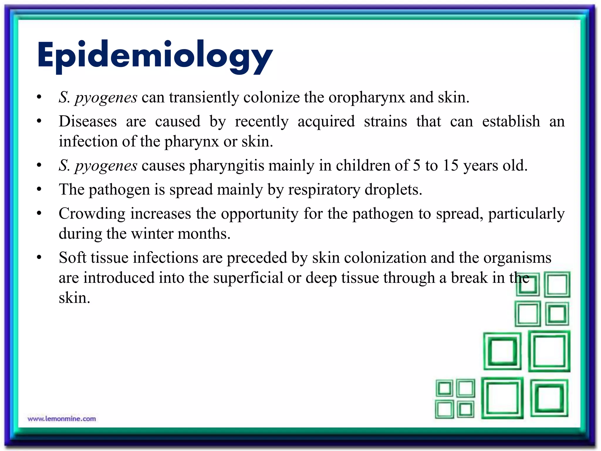 Epidemiology
• S. pyogenes can transiently colonize the oropharynx and skin.
• Diseases are caused by recently acquired strains that can establish an
infection of the pharynx or skin.
• S. pyogenes causes pharyngitis mainly in children of 5 to 15 years old.
• The pathogen is spread mainly by respiratory droplets.
• Crowding increases the opportunity for the pathogen to spread, particularly
during the winter months.
• Soft tissue infections are preceded by skin colonization and the organisms
are introduced into the superficial or deep tissue through a break in the
skin.
 