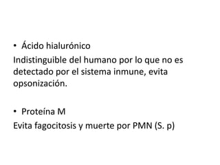 • Ácido hialurónico
Indistinguible del humano por lo que no es
detectado por el sistema inmune, evita
opsonización.
• Proteína M
Evita fagocitosis y muerte por PMN (S. p)
 