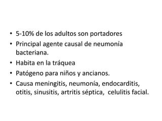 • 5-10% de los adultos son portadores
• Principal agente causal de neumonía
bacteriana.
• Habita en la tráquea
• Patógeno para niños y ancianos.
• Causa meningitis, neumonía, endocarditis,
otitis, sinusitis, artritis séptica, celulitis facial.
 