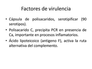 Factores de virulencia
• Cápsula de polisacaridos, serotipificar (90
serotipos).
• Polisacarido C, precipita PCR en presencia de
Ca, importante en procesos inflamatorios.
• Ácido lipoteicoico (antigeno F), activa la ruta
alternativa del complemento.
 