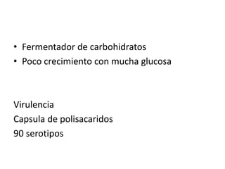 • Fermentador de carbohidratos
• Poco crecimiento con mucha glucosa
Virulencia
Capsula de polisacaridos
90 serotipos
 