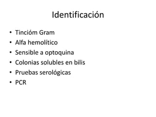Identificación
• Tincióm Gram
• Alfa hemolítico
• Sensible a optoquina
• Colonias solubles en bilis
• Pruebas serológicas
• PCR
 