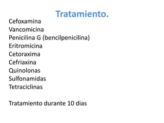 Tratamiento.
Cefoxamina
Vancomicina
Penicilina G (bencilpenicilina)
Eritromicina
Cetoraxima
Cefriaxina
Quinolonas
Sulfonamidas
Tetraciclinas
Tratamiento durante 10 dias
 