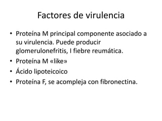 Factores de virulencia
• Proteína M principal componente asociado a
su virulencia. Puede producir
glomerulonefritis, I fiebre reumática.
• Proteína M «like»
• Ácido lipoteicoico
• Proteína F, se acompleja con fibronectina.
 