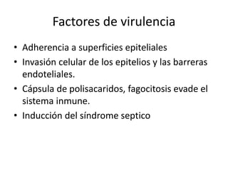 Factores de virulencia
• Adherencia a superficies epiteliales
• Invasión celular de los epitelios y las barreras
endoteliales.
• Cápsula de polisacaridos, fagocitosis evade el
sistema inmune.
• Inducción del síndrome septico
 