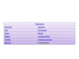 Taxonomía
Dominio: Bacteria
Filo: Firmicutes
Clase: Bacilli
Orden: Lactobacillales
Familia: Enterococcaceae
Género: Enterococcus
 
