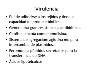 Virulencia
• Puede adherirse a los tejidos y tiene la
capacidad de producir biofilm.
• Genera una gran resistencia a antibióticos.
• Citolisina: actúa como hemolisina.
• Sistema de agregación: aglutina mo para
intercambio de plasmidos.
• Feromonas: péptidos secretados para la
transferencia de DNA.
• Ácidos lipoteicoicos
 