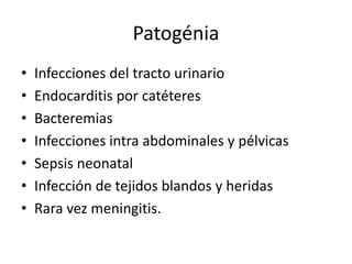 Patogénia
• Infecciones del tracto urinario
• Endocarditis por catéteres
• Bacteremias
• Infecciones intra abdominales y pélvicas
• Sepsis neonatal
• Infección de tejidos blandos y heridas
• Rara vez meningitis.
 