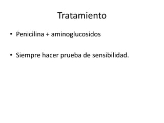 Tratamiento
• Penicilina + aminoglucosidos
• Siempre hacer prueba de sensibilidad.
 