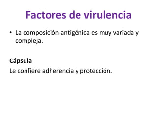 Factores de virulencia
• La composición antigénica es muy variada y
compleja.
Cápsula
Le confiere adherencia y protección.
 