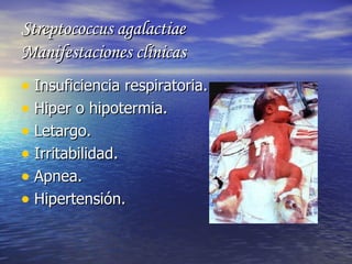 Streptococcus agalactiae Manifestaciones clínicas <ul><li>Insuficiencia respiratoria. </li></ul><ul><li>Hiper o hipotermia...