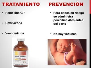 TRATAMIENTO
• Penicilina G *
• Ceftriaxona
• Vancomicina
PREVENCIÓN
• Para bebes en riesgo
se administra
penicilina 4hrs antes
del parto
• No hay vacunas
 