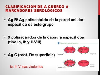 CLASIFICACIÓN DE A CUERDO A
MARCADORES SEROLÓGICOS
• Ag B/ Ag polisacárido de la pared celular
especifico de este grupo
• 9 polisacáridos de la capsula específicos
(tipo Ia, Ib y II-VIII)
• Ag C (prot. De superficie)
Ia, II, V mas virulentos
 