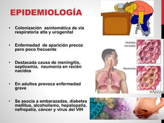 EPIDEMIOLOGÍA
• Colonización asintomática de vía
respiratoria alta y urogenital
• Enfermedad de aparición precoz
pero poco frecuente
• Destacada causa de meningitis,
septicemia, neumonía en recién
nacidos
• En adultos provoca enfermedad
grave
• Se asocia a embarazadas, diabetes
mellitus, alcoholismo, hepatopatía,
nefropatía, cáncer y virus del VIH
 