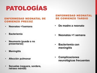 PATOLOGÍAS
ENFERMEDAD NEONATAL DE
COMIENZO PRECOZ
• Neonatos <1semana
• Bacteriemia
• Neumonía (puede o no
presentarse)
• Meningitis
• Afección pulmonar
• Secuelas (ceguera, sordera,
retraso mental)
ENFERMEDAD NEONATAL
DE COMIENZO TARDIO
• De madre a neonato
• Neonatos >1 semana
• Bacteriemia con
meningitis
• Complicaciones
neurológicas frecuentes
 