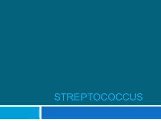 STREPTOCOCCUS

 