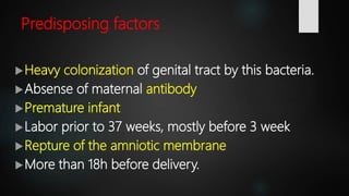 Streptococcus Agalactiae Bacteria Microbiology Lecture