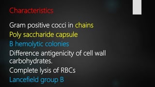 Streptococcus Agalactiae Bacteria Microbiology Lecture
