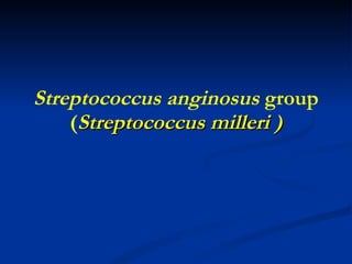 Streptococcus anginosus  group ( Streptococcus milleri ) 