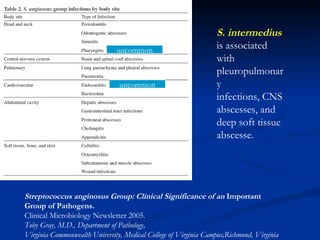 S. intermedius is associated with pleuropulmonary infections, CNS abscesses, and deep soft tissue abscesse. Streptococcus anginosus Group: Clinical Significance of an  Important  Group of Pathogens.   Clinical Microbiology Newsletter 2005. Toby Gray, M.D., Department of Pathology,  Virginia Commonwealth University, Medical College of Virginia Campus,Richmond, Virginia uncommon uncommon 