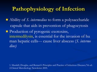 Pathophysiology of Infection A bility of  S. intermedius  to form a polysaccharide capsule that aids in prevention of phagocytosis  P roduction of pyrogeni c  exotoxins ,   intermedilysin ,  is essential for the invasion of human hepatic cells---  cause liver abscess ( S. intermedius) 1. Mandell, Douglas, and Bennett's Principles and Practice of Infectious Diseases,7th ed. 2.Clinical Microbiology Newsletter 2005. 